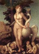 Andrea del Sarto Swan oil